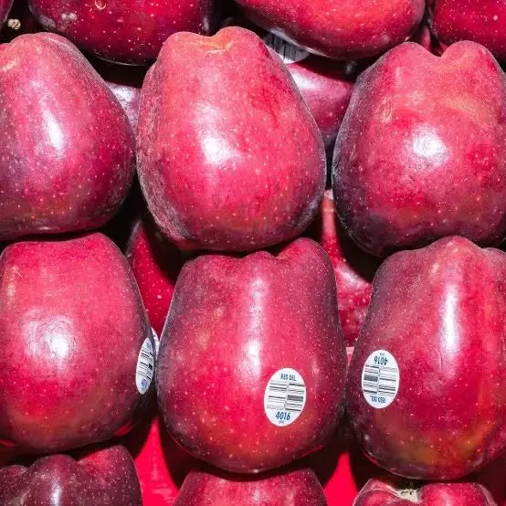 MANZANA RED (Precio por KG)