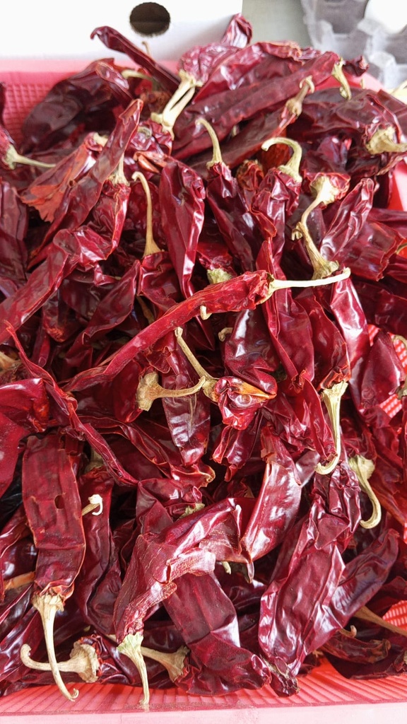 Chile Guajillo (Kg a granel)