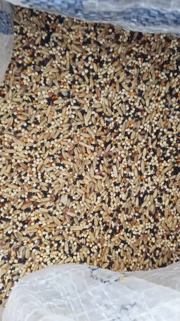 Alimento para Ave