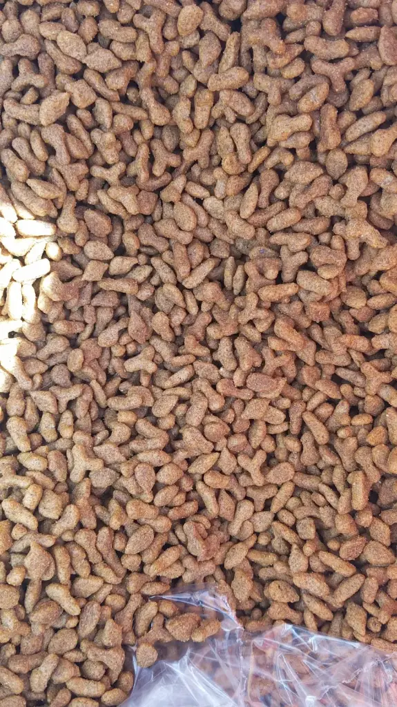 GATINA