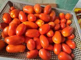 JITOMATE SALCERO (Precio por KG)