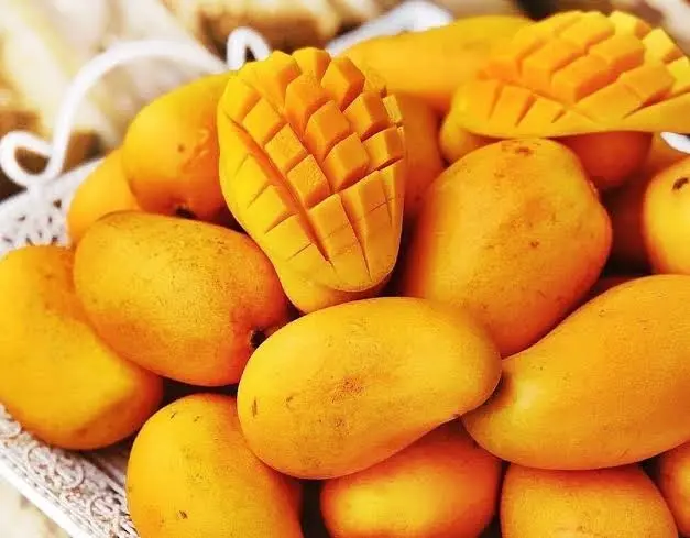 MANGO ATAULFO (Precio por KG)