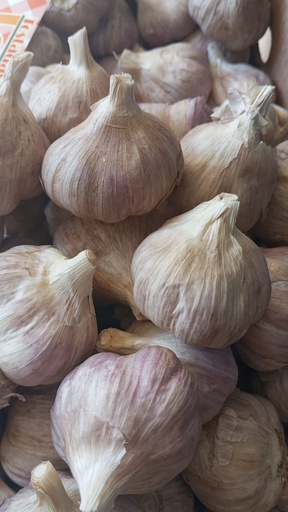 [1004] Ajo (Kg a granel)