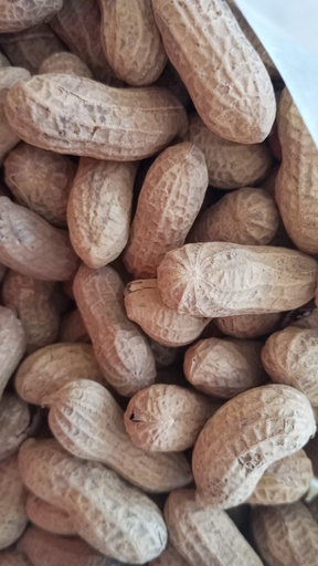 [1033] Cacahuate cascara (Kg a granel)