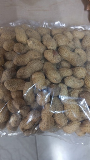 [1036] Cacahuate cascara 500gr