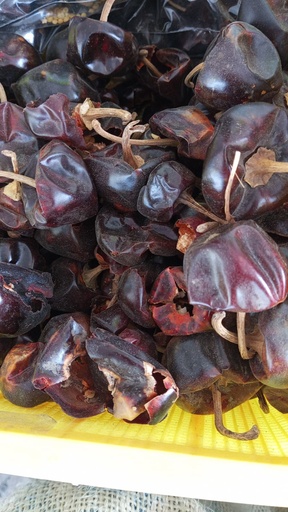 [1075] Chile Cascabel (Kg a granel)