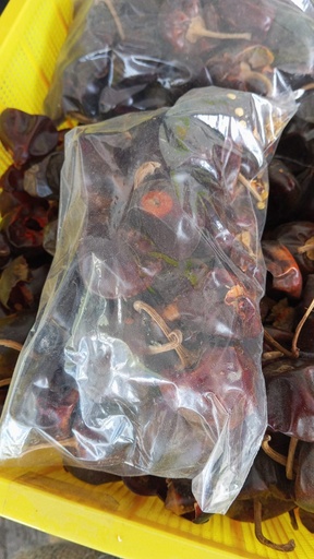 [1076] Chile Cascabel 100gr