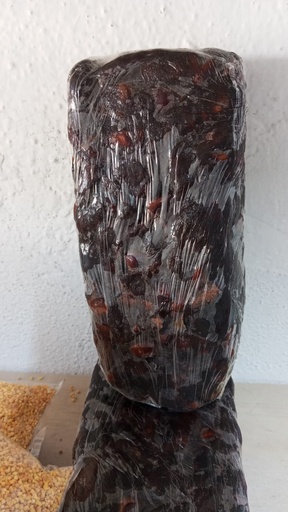 [1229] Tamarindo