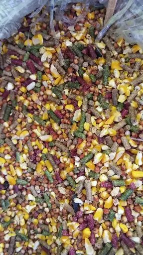 [0] Alimento para pollo